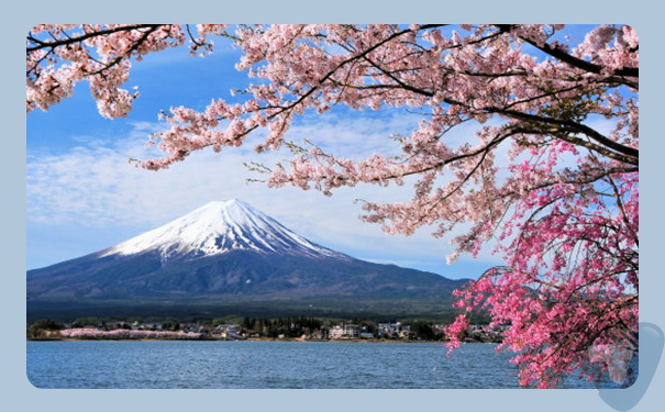 深圳到日本(Japan)港口<a href='http://m.lichengfeng.com.cn/haiyun/' target='_blank'><u>海運</u></a>需要多長時間?太捷國際價格實惠