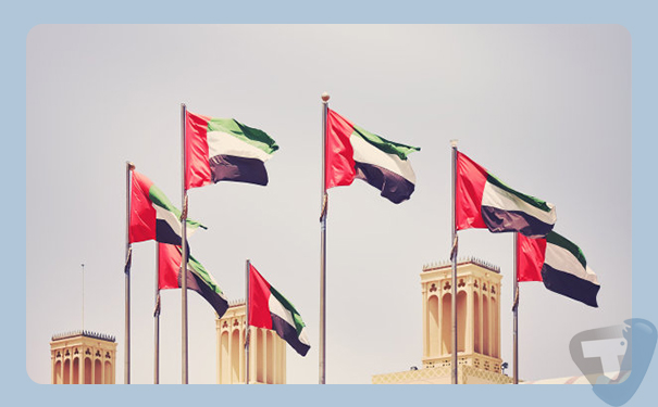 深圳到阿聯酋(unitedArabemirates)港口<a href='http://m.lichengfeng.com.cn/haiyun/' target='_blank'><u>海運</u></a>需要多長時間?國際貨運價格實惠