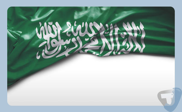 深圳到沙特阿拉伯(SaudiArabia)港口<a href='http://m.lichengfeng.com.cn/haiyun/' target='_blank'><u>海運(yùn)</u></a>需要多長時間?國際貨運(yùn)低價促銷