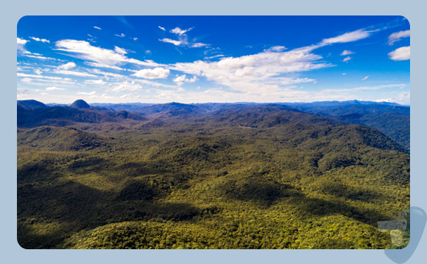 深圳到荷屬安的列斯(NetherlandsAntilles)港口<a href='http://m.lichengfeng.com.cn/haiyun/' target='_blank'><u>海運</u></a>需要多長時間?深圳太捷可靠的物流合作伙伴