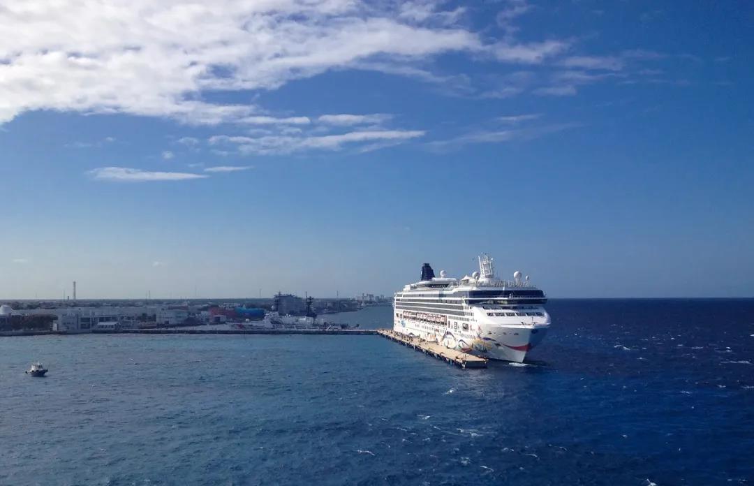 邁入新的一年,郵輪業還好嗎?