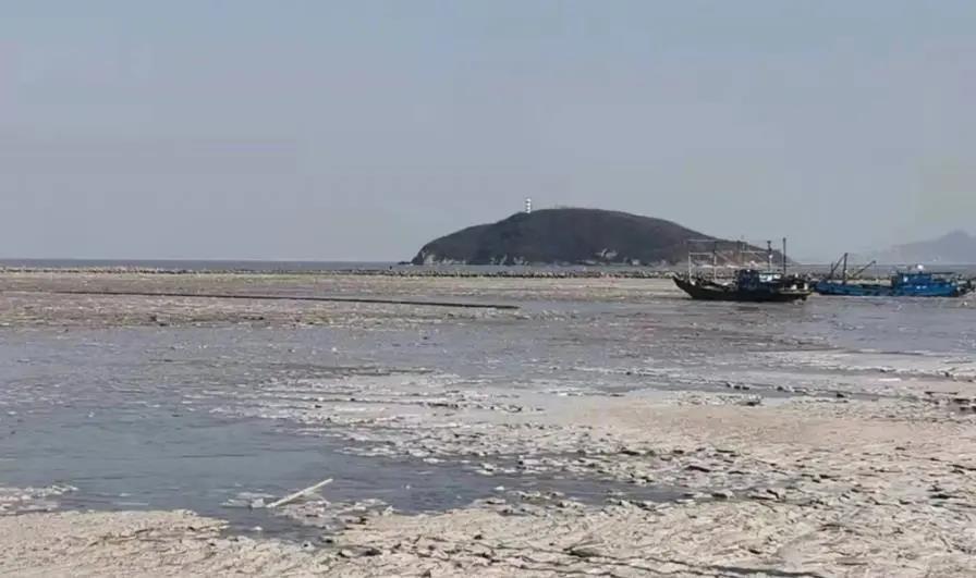 緊急預(yù)警！黃渤海將進(jìn)入嚴(yán)重冰期!