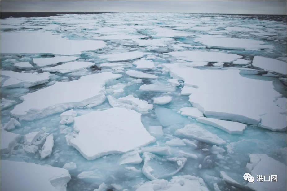 海冰厚達1米,港口封航24.5小時,這波寒潮來勢洶洶!