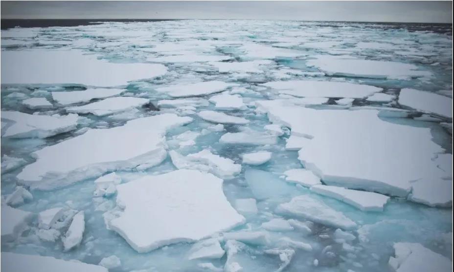 注意！渤海海冰厚達1米港口封航24小時；暴風雪橫掃西班牙交通癱瘓！