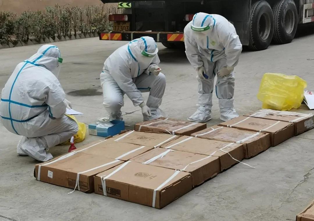 大連一批進口貨物外包裝檢測陽性，山東、遼寧加強進口非冷鏈集裝箱貨物防控