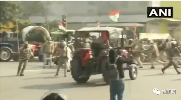 全球多國發生大騷亂，荷蘭、印度、澳大利亞、俄羅斯爆發抗議活動！