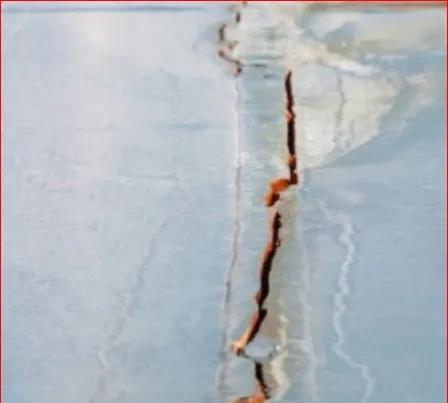 328米長大集裝箱船驚現5米裂縫，已返航青島進行貨物轉移及維修作業