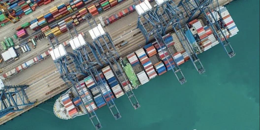 6條新航線在鹽田港投入運行！ 