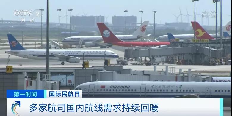 又遭重創(chuàng)!全球41個(gè)國(guó)家和地區(qū)已出手!這個(gè)行業(yè),何去何從?