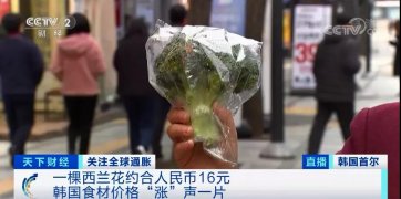 “漲”聲一片！一棵西蘭花賣到16元？