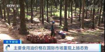 暴漲超65%！多國(guó)已出手！