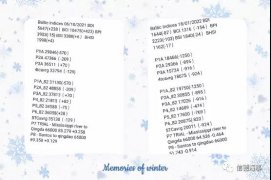 Cape船航運市場進一步下跌，但未來可期