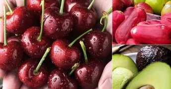 去墨西哥、智利、阿根廷等南美國家的干凍柜運(yùn)費(fèi)只要8千多美金！什么