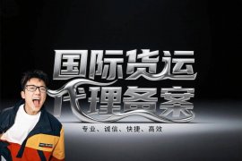 <strong><font color='#0033CC'>上海國際貨代公司詳解：服務內容與選擇指南</font></strong>