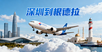 <font color='#0033CC'>深圳到根德拉空運(yùn)需要多久?費(fèi)用與全流程詳解</font>