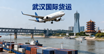 <font color='#0033CC'>武漢國際貨運哪家靠譜?流程、報價與注意事項詳解</font>